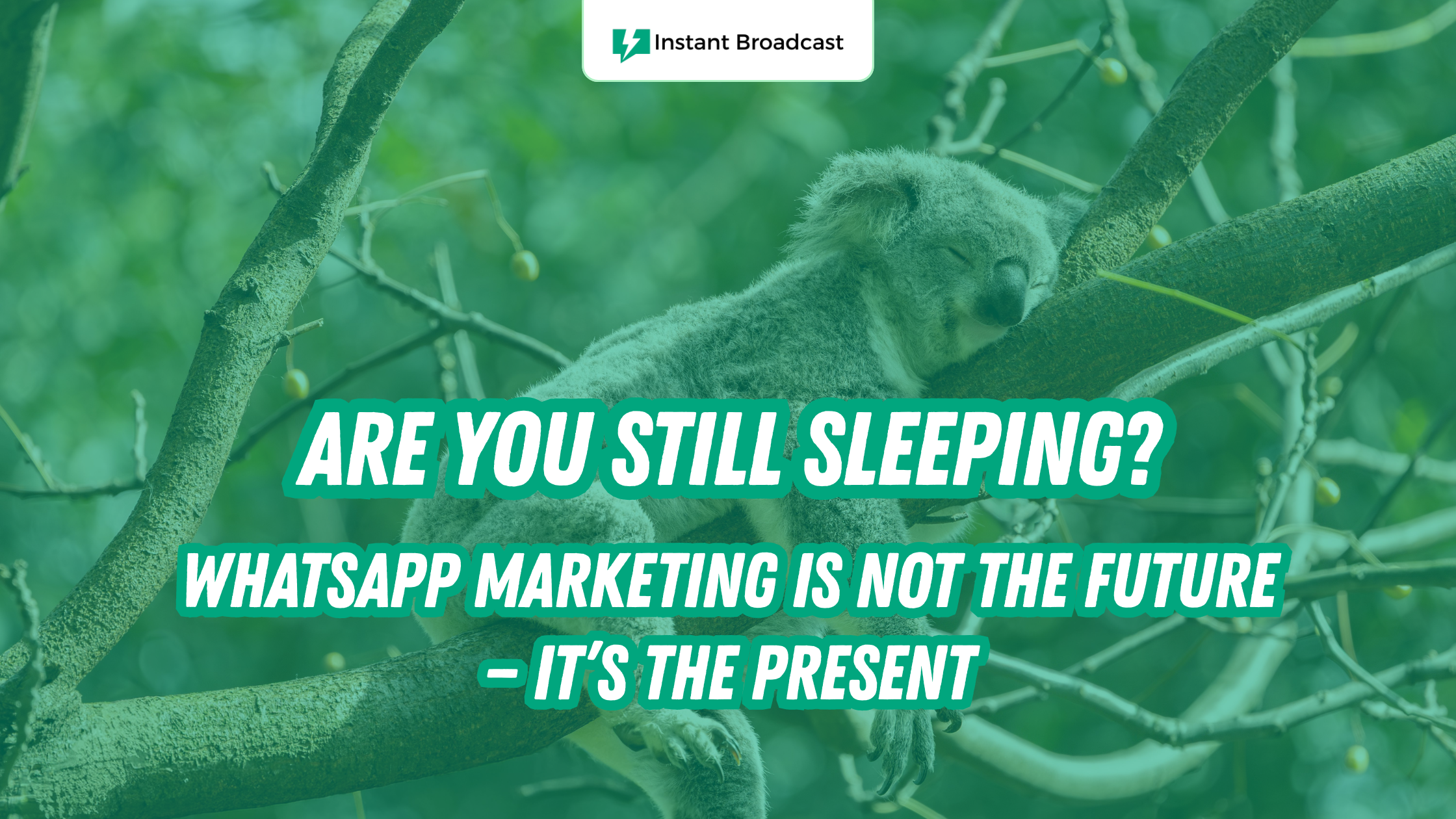WhatsApp Marketing Is Not the Future — It’s the Present. And Most Businesses Are Still Sleeping On It.